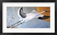 JP Stork Framed Print
