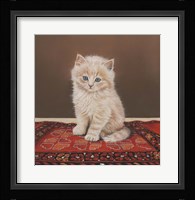 Fluffy Fine Art Print