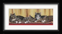 Relaxing Tabbies Fine Art Print