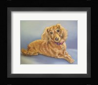 Sophie, Blue Background Fine Art Print