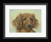 Sophie Framed Print