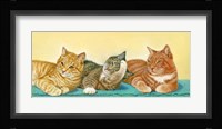 Tabbies Fine Art Print