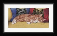 Ziggy Fine Art Print
