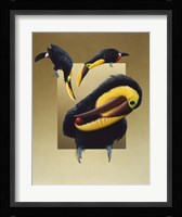 Chestnut-Mandibled Toucans Fine Art Print