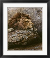 Lion Male 2 Fine Art Print