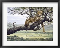 Leopard Fine Art Print