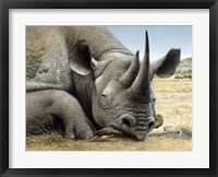 Black Rhino Fine Art Print