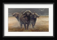 Cape Buffalos Fine Art Print