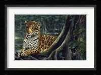 Jaguar By The River Fine Art Print
