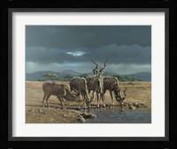Greater Kudus Fine Art Print