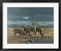 Greater Kudus Fine Art Print