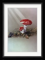 Mushrooms Fine Art Print