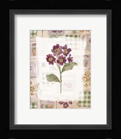 Purple Flower 2 Framed Print