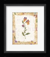 Dog Violet Framed Print