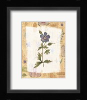 Blue Flower Framed Print