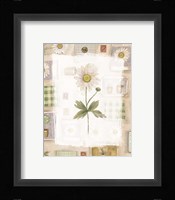 Daisy Fine Art Print