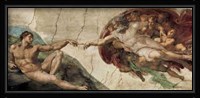 Creation of Adam Fine Art Print