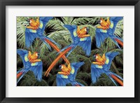 Palm Parrot Fine Art Print