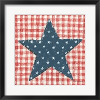 Americana Quilt II Framed Print