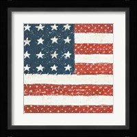 Americana Quilt IV Fine Art Print
