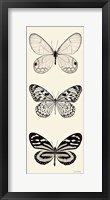 Butterfly BW Panel II Framed Print
