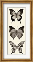 Butterfly BW Panel I Fine Art Print