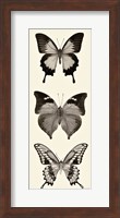 Butterfly BW Panel I Fine Art Print
