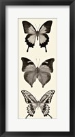 Butterfly BW Panel I Framed Print