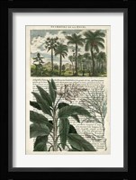 Journal of the Tropics I Fine Art Print