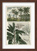 Journal of the Tropics I Fine Art Print