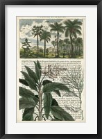 Journal of the Tropics I Fine Art Print