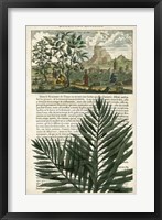 Journal of the Tropics II Fine Art Print