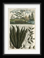 Journal of the Tropics III Fine Art Print