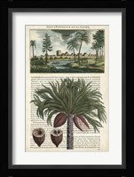 Journal of the Tropics IV Fine Art Print
