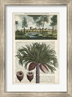 Journal of the Tropics IV Fine Art Print
