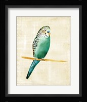Fanciful Birds II Framed Print