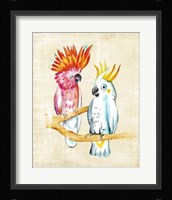 Fanciful Birds IV Framed Print