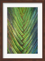 Tropical Crop I Fine Art Print