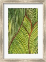 Tropical Crop II Fine Art Print