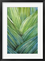 Tropical Crop IV Fine Art Print