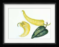 Peppers Hot and Cool Fine Art Print