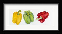 Yellow, Green, and Red Peppers Fine Art Print