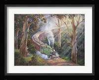 Puffing Billy In Sherbrook Forest Fine Art Print