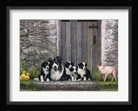 Farm Animal Stable Framed Print