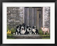 Farm Animal Stable Framed Print