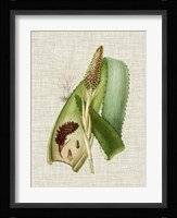 Elegant Tropicals I Fine Art Print