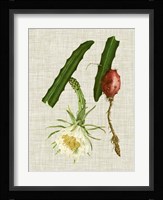 Elegant Tropicals II Fine Art Print