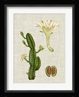 Elegant Tropicals III Fine Art Print