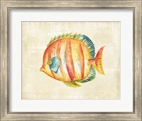 Aquarium Fish II Fine Art Print