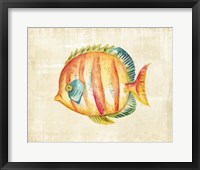 Aquarium Fish II Framed Print